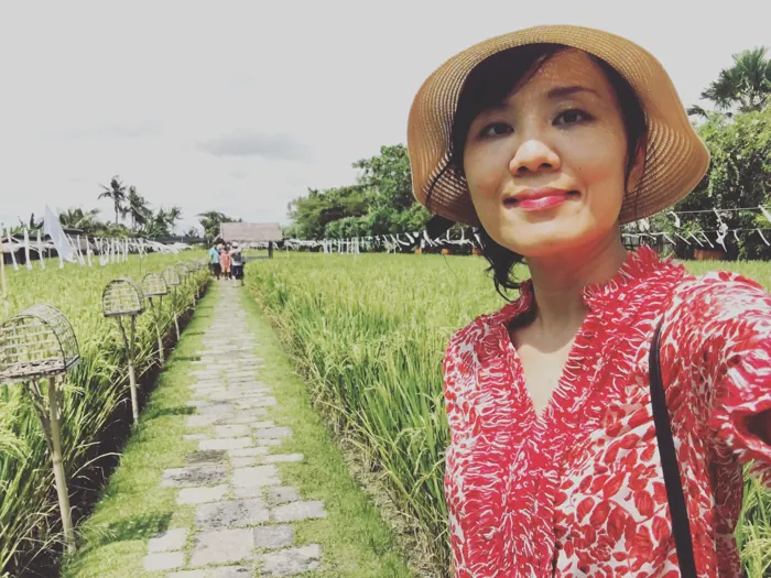On a path through the rice fields